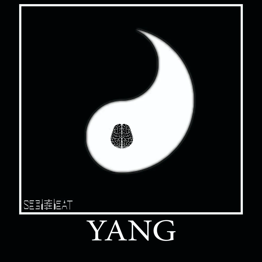 بیت						 
		ترپ				
							اثر
					
							Seed beat					
							به نام
					
							Yang